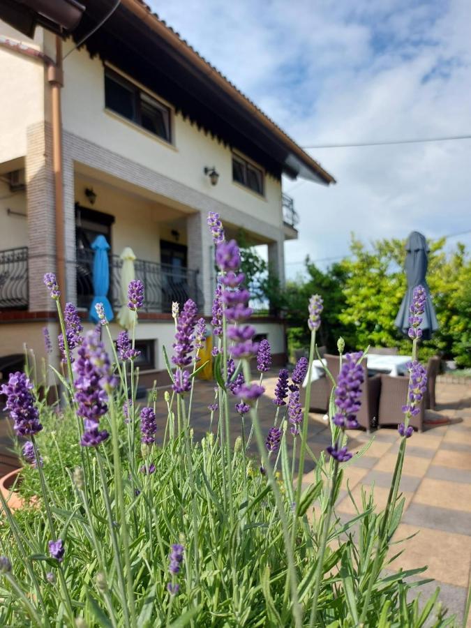 Apartman Nada Ozalj Екстер'єр фото